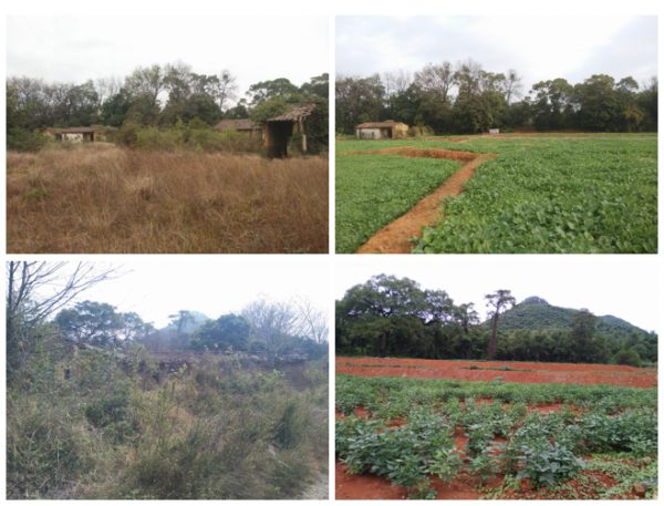 1571985844834195.jpg 1111111111111.jpg